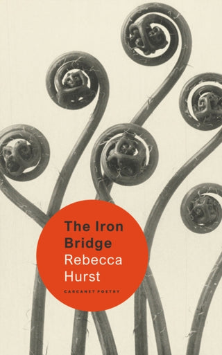 Cover image for 9781800173941 - The Iron Bridge