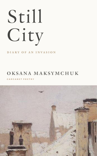 Cover image for 9781800174023 - Still City
