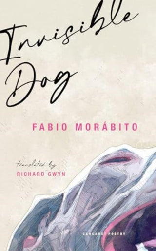 Cover image for 9781800174511 - Invisible Dog