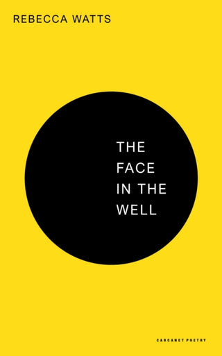 Cover image for 9781800174580 - The Face in the Well