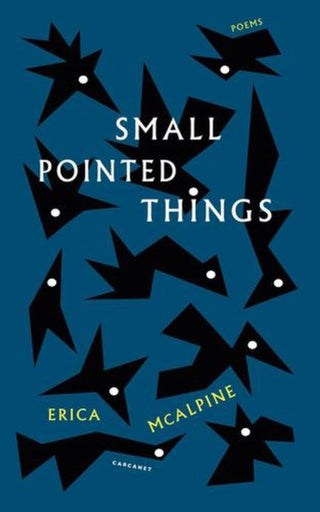 Cover image for 9781800174771 - Small Pointed Things