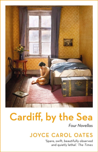 Cover image for 9781800241411 - Cardiff, by the Sea