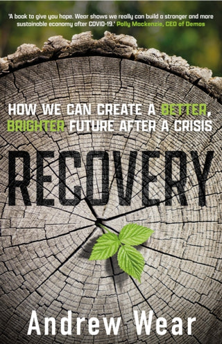 Cover image for 9781800313408 - Recovery
