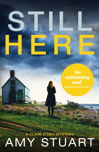 Cover image for 9781800324695 - Still Here