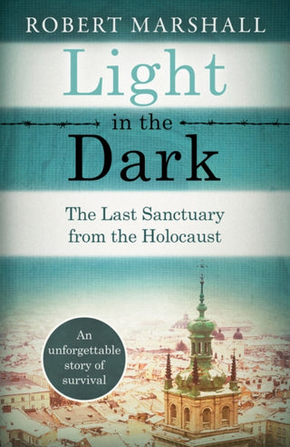 Cover image for 9781800326422 - Light in the Dark