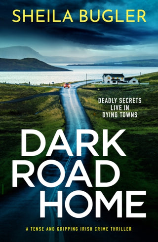 Cover image for 9781800327368 - Dark Road Home