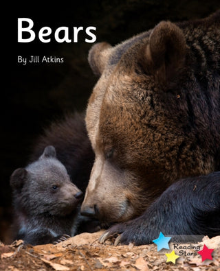 Cover image for 9781800470354 - Bears