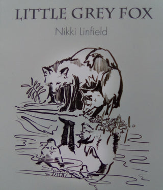 Cover image for 9781800689855 - Little Grey Fox