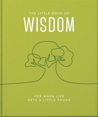 Cover image for 9781800693586 - The Little Book of Wisdom