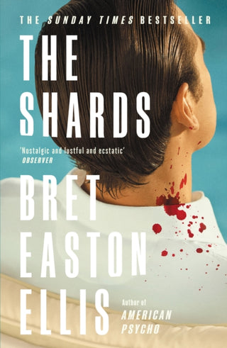 Cover image for 9781800752320 - The Shards