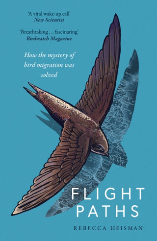 Supplemental image for 9781800752948 - Flight Paths