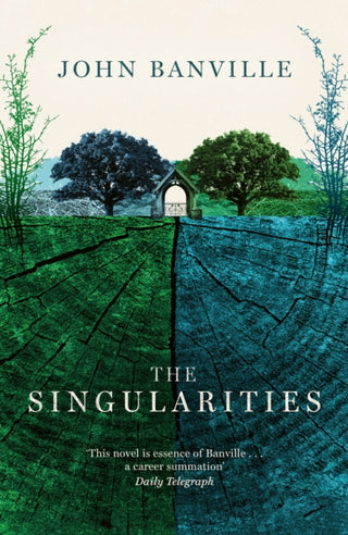 Cover image for 9781800753365 - The Singularities