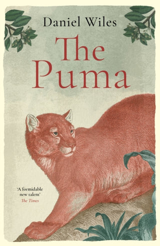 Cover image for 9781800753686 - The Puma