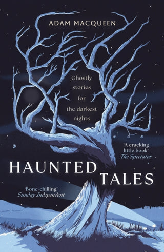 Cover image for 9781800754478 - Haunted Tales