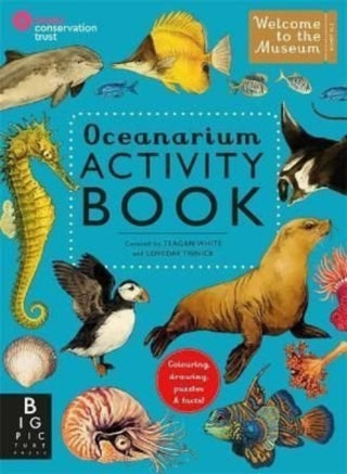 Cover image for 9781800782433 - Oceanarium Activity