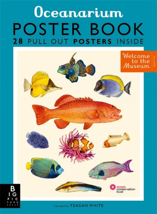 Cover image for 9781800783652 - Oceanarium Poster Book