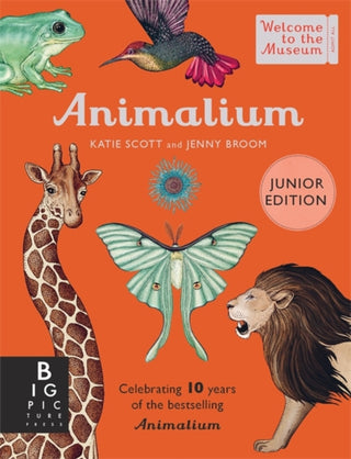Supplemental image for 9781800783706 - Animalium (Junior Edition)