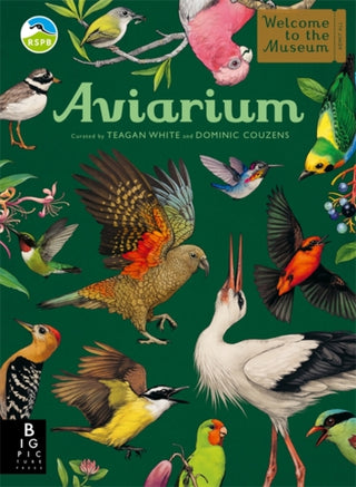 Cover image for 9781800787797 - Aviarium