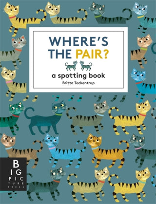Cover image for 9781800787872 - Where's the Pair?