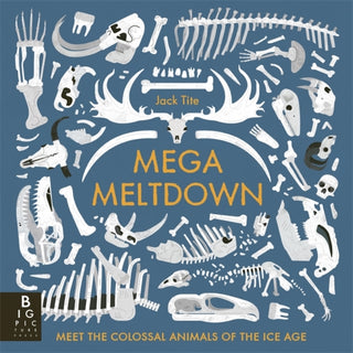 Cover image for 9781800788022 - Mega Meltdown