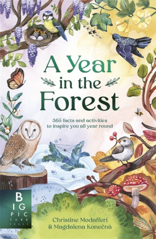 Cover image for 9781800788176 - A Year in the Forest