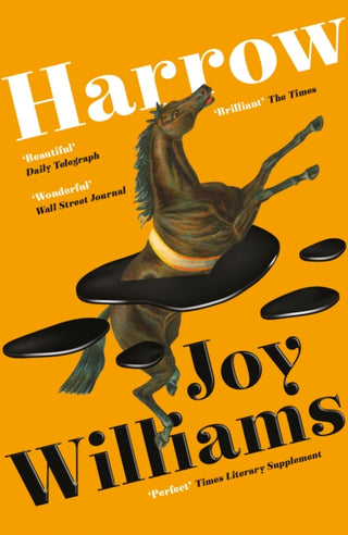 Cover image for 9781800810020 - Harrow