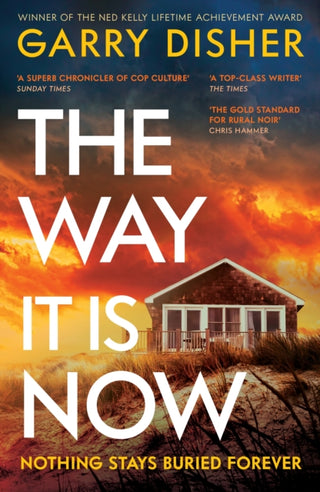 Cover image for 9781800811393 - The Way It Is Now
