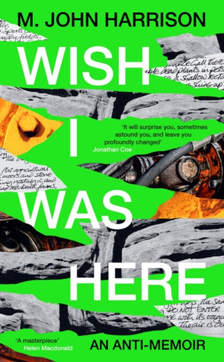 Cover image for 9781800812970 - Wish I Was Here
