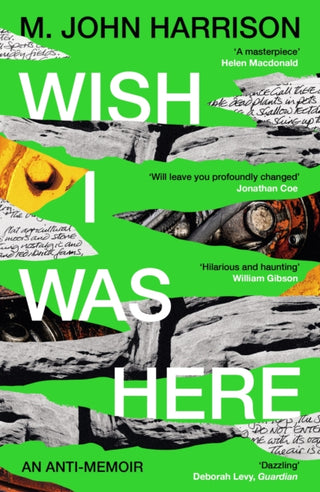 Cover image for 9781800812987 - Wish I Was Here