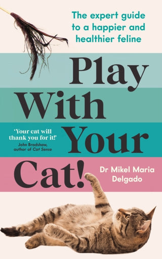 Cover image for 9781800815124 - Play With Your Cat!