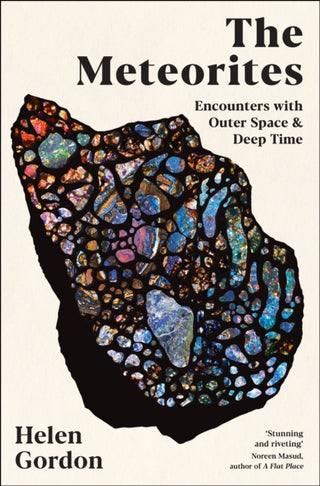 Cover image for 9781800815346 - The Meteorites