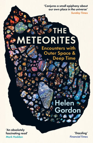 Cover image for 9781800815353 - The Meteorites