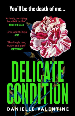 Cover image for 9781800818330 - Delicate Condition