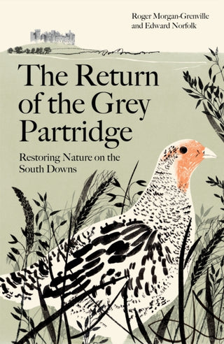 Cover image for 9781800819061 - The Return of the Grey Partridge