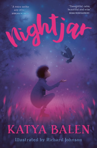 Cover image for 9781800901667 - Nightjar