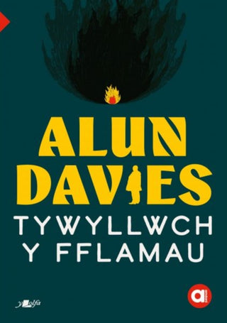 Cover image for 9781800998124 - Cyfres Amdani: Tywyllwch y Fflamau