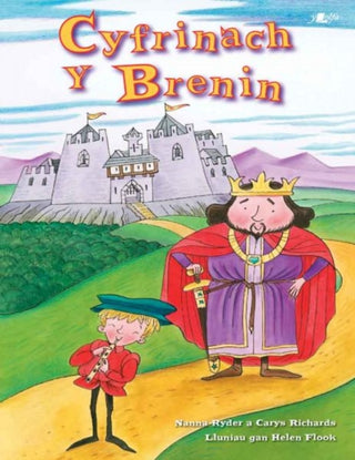 Cover image for 9781800998865 - Cyfrinach y Brenin