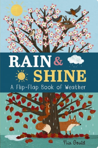 Cover image for 9781801044578 - Rain & Shine: A Flip-Flap Book of Weather
