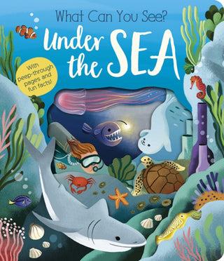 Cover image for 9781801045551 - What Can You See? Under the Sea