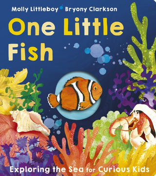 Cover image for 9781801045650 - One Little Fish