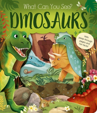 Cover image for 9781801048330 - What Can You See? Dinosaurs