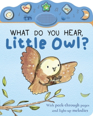 Cover image for 9781801048859 - What Do You Hear, Little Owl?
