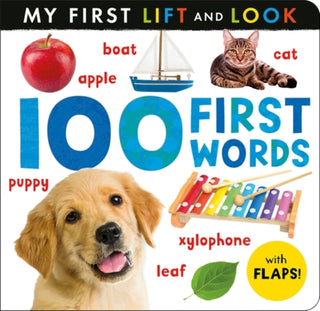Cover image for 9781801048910 - 100 First Words