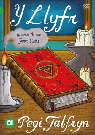 Cover image for 9781801063005 - Cyfres Amdani: Y Llyfr