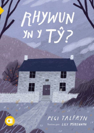 Cover image for 9781801064262 - Cyfres Amdani: Rhywun yn y Tŷ?