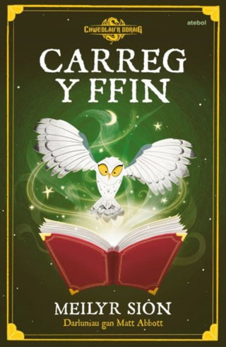 Supplemental image for 9781801064392 - Chwedlau'r Ddraig: Carreg y Ffin