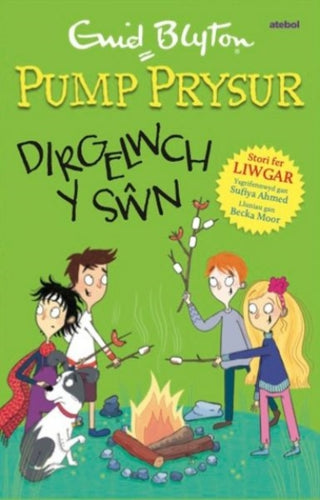 Cover image for 9781801064446 - Pump Prysur: Dirgelwch y Swn