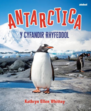 Cover image for 9781801065351 - Antarctica - Y Cyfandir Rhyfeddol