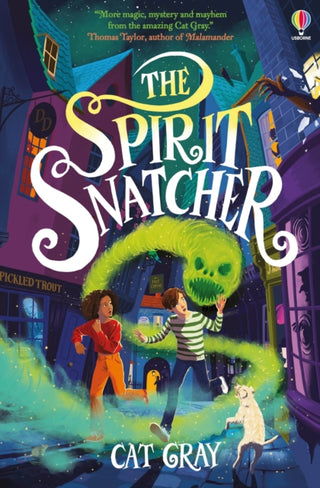 Cover image for 9781801310048 - The Spirit Snatcher