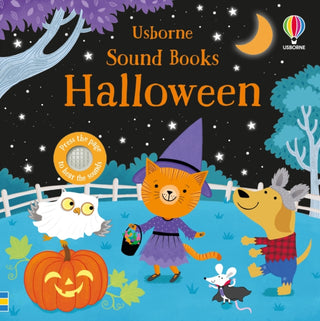 Cover image for 9781801314916 - Halloween Sound Book